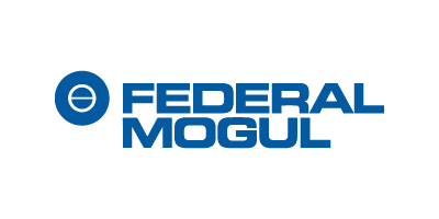 Federal Mogul